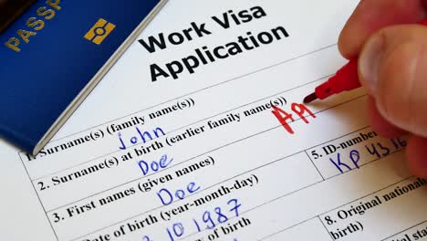 decision to grant a work visa