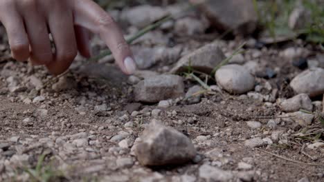 Girl-hand-touching-tiny-frog,-close-up,-slow-motion