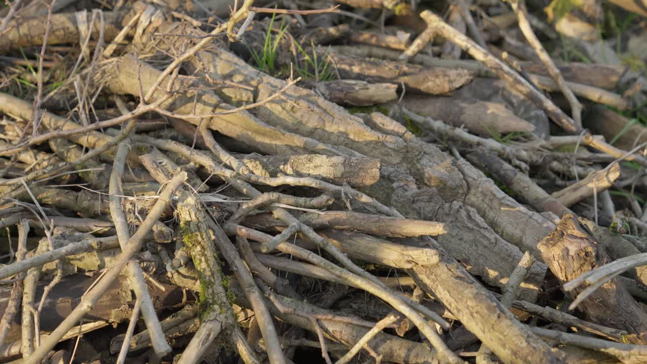 공원에서 아름다운 날, 도시 한가운데에서