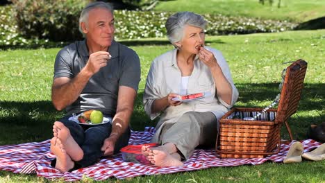 Old-woman-feasting-at-a-picnic-with-her-husband-on-the-grass