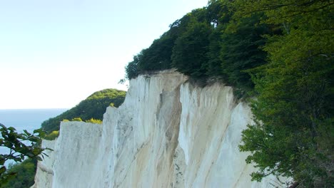 Las-Cimas-De-Los-Acantilados-De-Tiza-Blanca-De-Dinamarca-Están-Cubiertas-Por-Un-Bosque-Profundo-Y-Oscuro-En-Primavera-Y-Verano