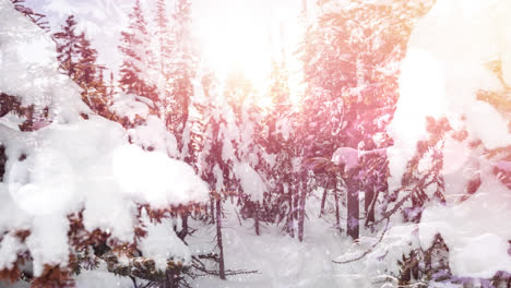 animación de nieve cayendo y manchas brillantes de luz sobre el paisaje de invierno