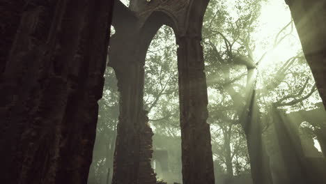 misteriosas ruinas en un bosque de niebla