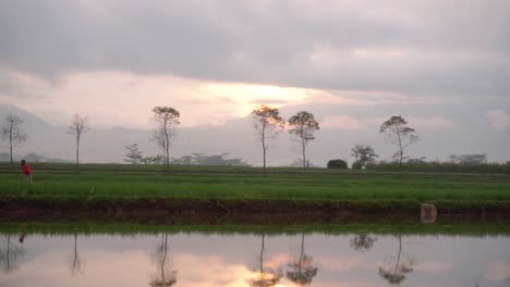 farmers activities in the morning with a mountain background accompanied by sunrise in the sky and light fog