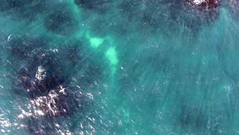 aerial shot looking directly down on the ocean coast with moving waves over rocks and seaweed