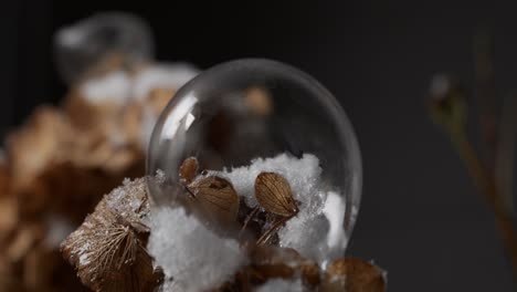 Motion-controlled-time-lapse-sequence-of-freezing-bubbles