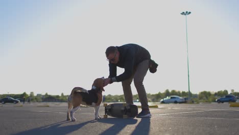 a young man is having fun with his dog in the fresh air. the owner is playing with his pet. slow motion