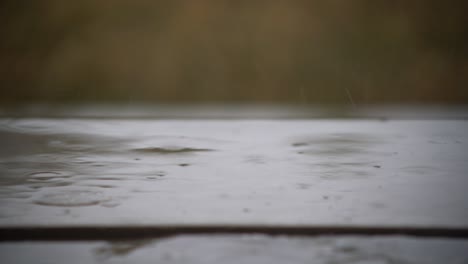 Raining-on-patio-stone-stair-to-backyard-with-blurred-out-of-focus-background-depth-of-field-blur