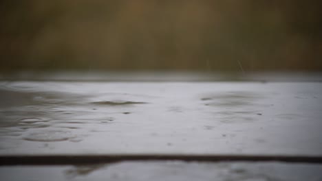 raining on patio stone stair to backyard with blurred out of focus background depth of field blur