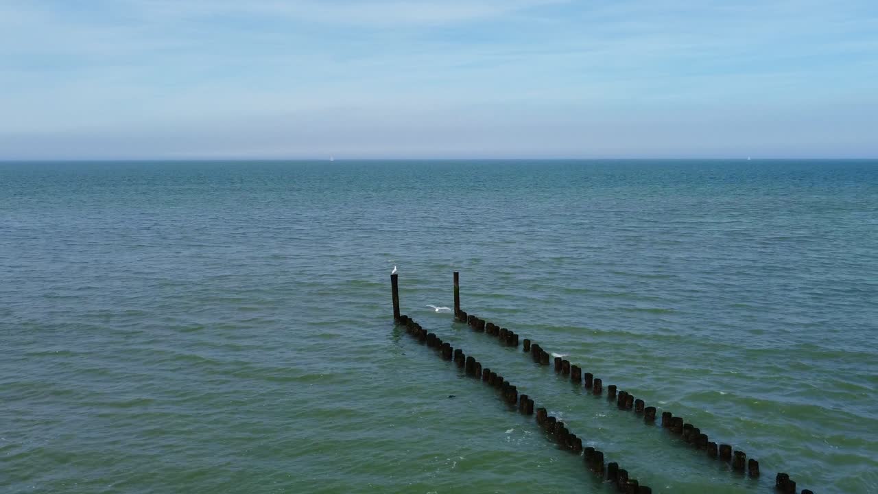 Seagull flying onto a pole of a long groyne reaching into the ocean in the Netherlands
