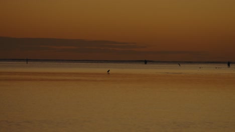 Toma-Simple-Del-Brillo-Anaranjado-En-El-Cielo-Justo-Después-Del-Atardecer-A-Través-De-Las-Tranquilas-Aguas-Alpenglow-En-El-Océano-Pacífico-En-Oahu,-Hawaii