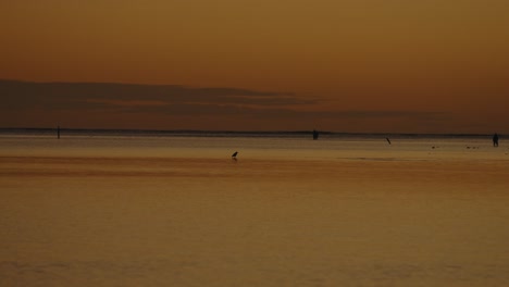 una simple toma del resplandor naranja en el cielo justo después de la puesta del sol a través de las aguas tranquilas alpenglow en el océano pacífico en oahu, hawai