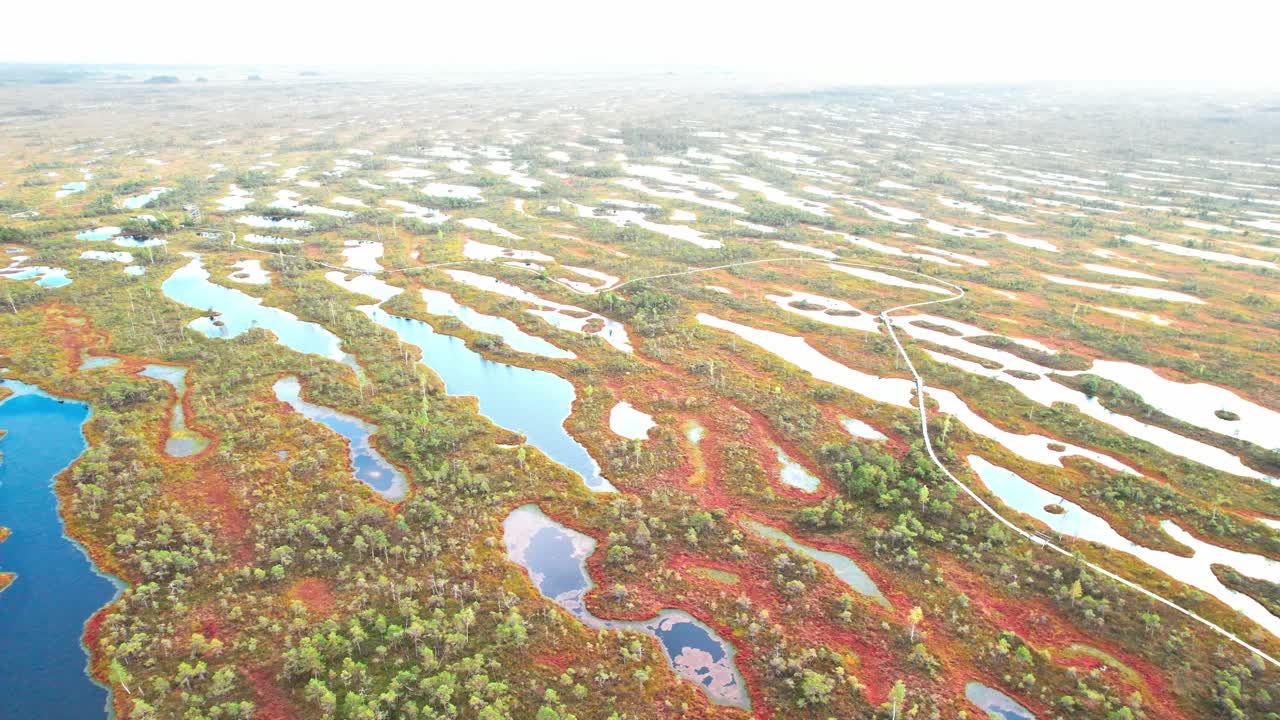 Aerial view of Kemeri swamp showcasing vibrant wetlands in Latvia