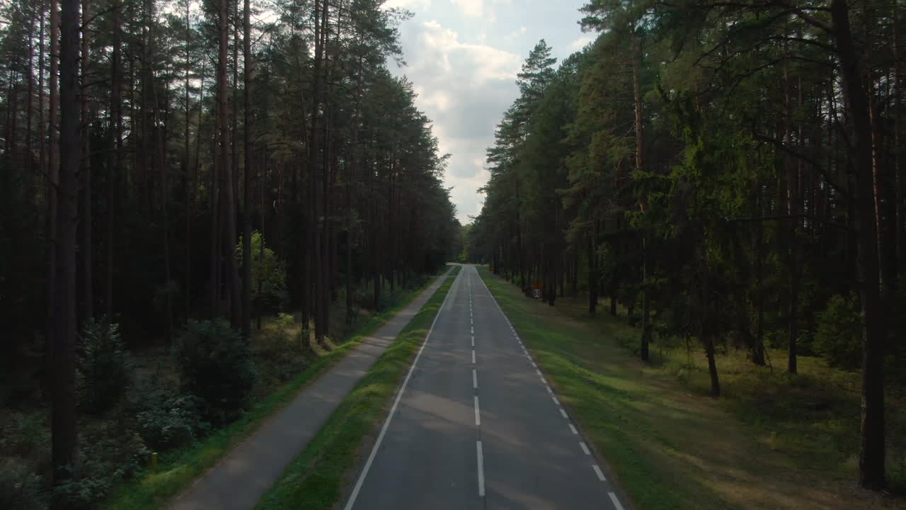Vista aerea di una strada forestale vuota in Polonia