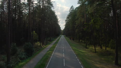 aerial view of empty forest road in poland