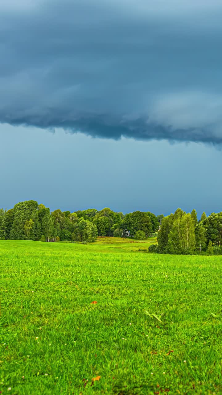 Stormy sky over a prairie forest. Vertical time lapse