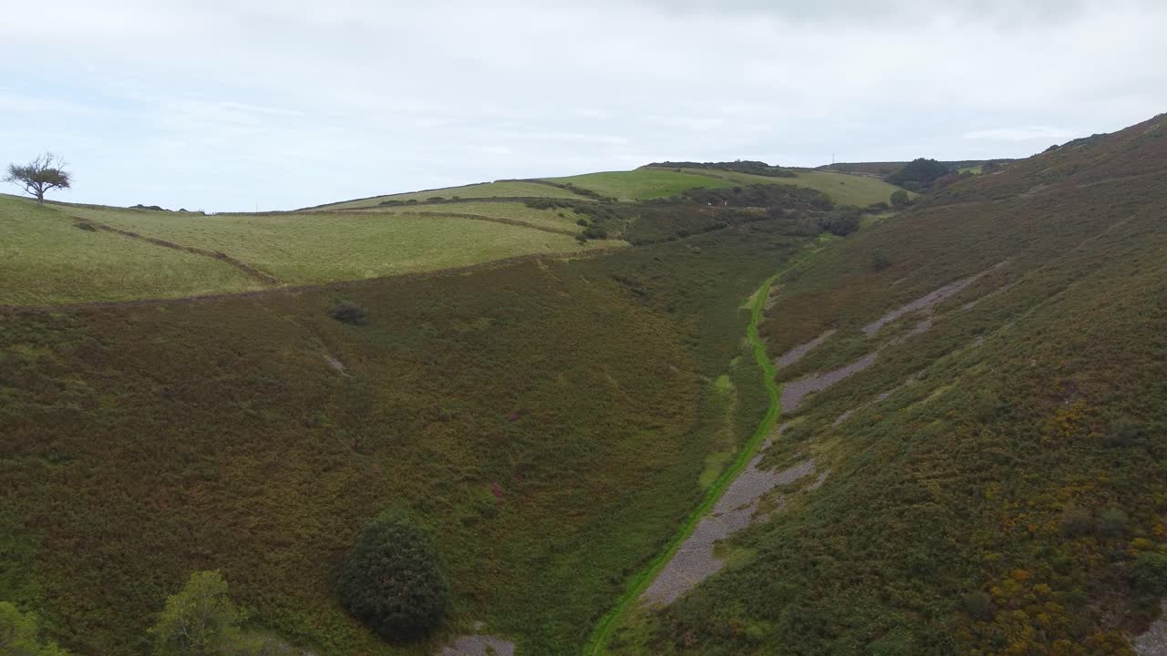 vista aérea de un camino empinado en el campo con un árbol solitario