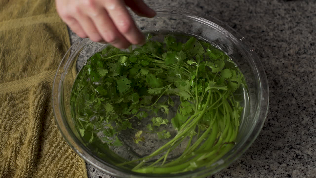 persona empapó el manojo de perejil verde en un tazón