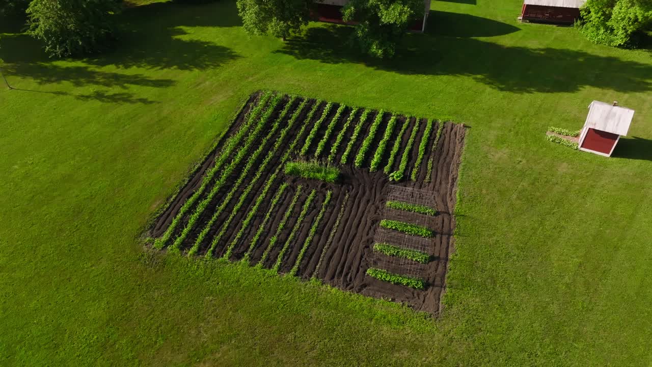 lucht drone schot van een goed verzorgde tuin in het midden van een tuin