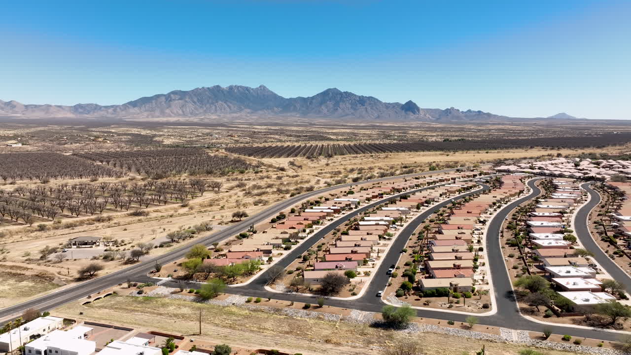 피칸 과수원의 시네마틱 드론 샷, 멀리 산이 있는 넓은 회전 드론 샷