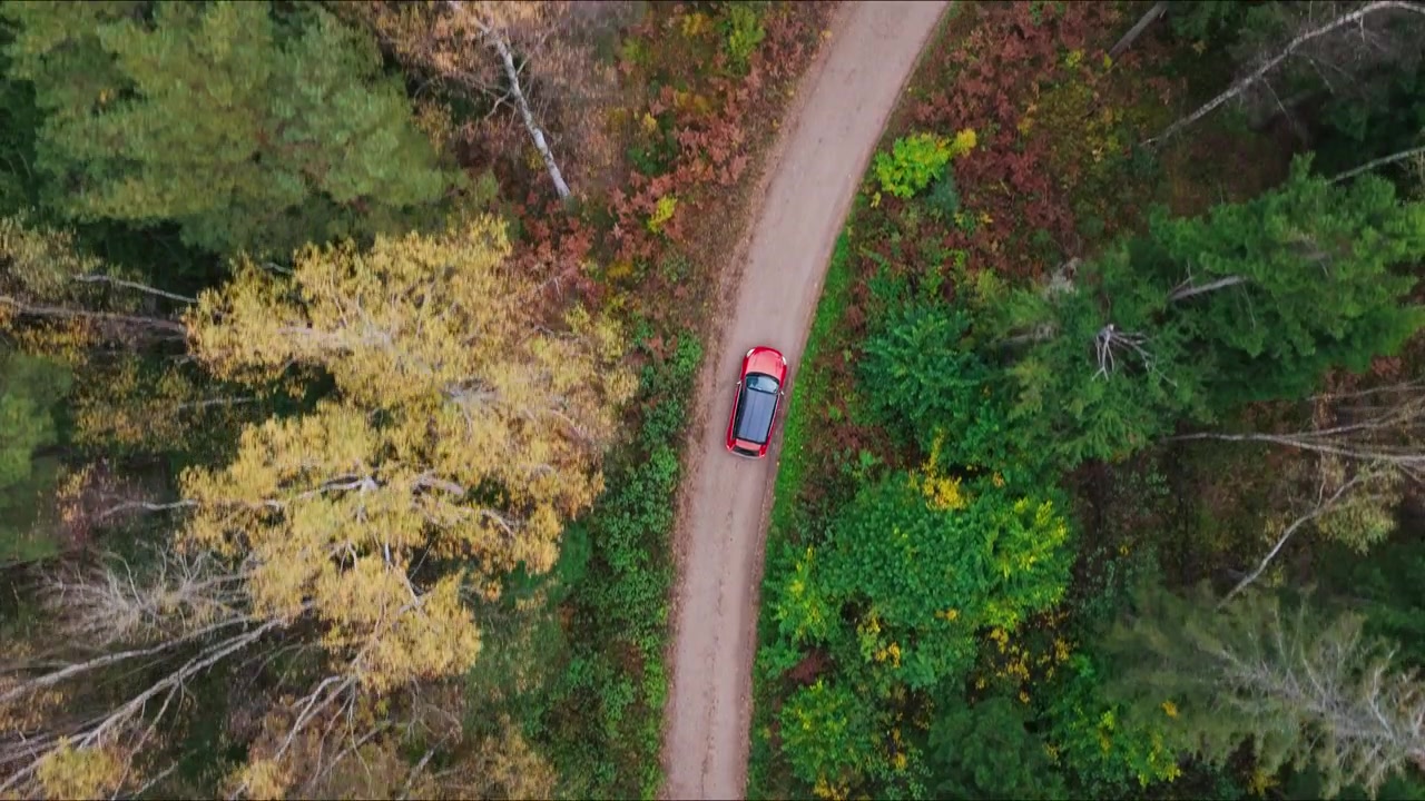 Il drone segue un camper che si muove tra alberi colorati, vista dall'alto.