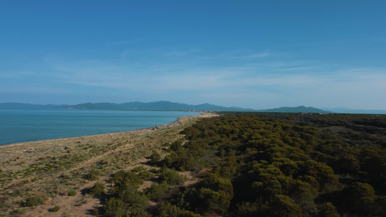 imágenes aéreas cinematográficas de la sabana natural y la laguna en el bosque de pinos en una playa de arena vacía junto al mar en el icónico parque nacional maremma en toscana, italia cerca de grosseto
