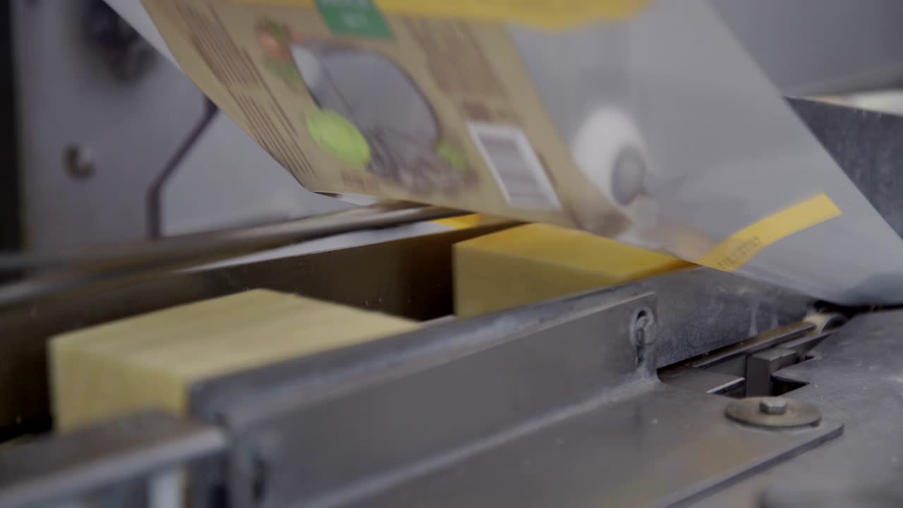 치즈 포장 프로세스를 위한 컨베이어 라인, 식품 공장에서 치즈 가공을 위한 클로즈업