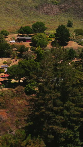 flight above the beautiful green fir-trees and little wooden houses on sunny hot day. village at the foot of a mountain. top view. vertical video