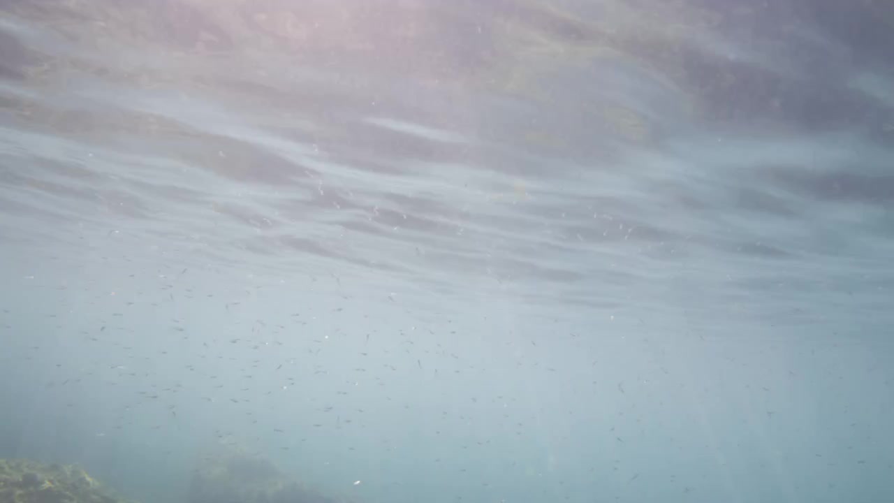 Underwater view of clear blue water, sunlight reflecting and refracting on the surface, creating serene rippling patterns