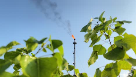 Flare-stack-burning-on-background,-vibrant-fresh-nature-leaves-in-foreground