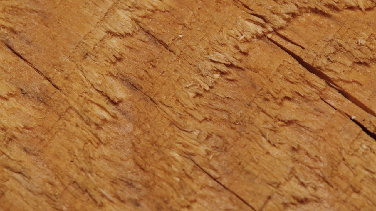 Close-up of Wood Grain Texture