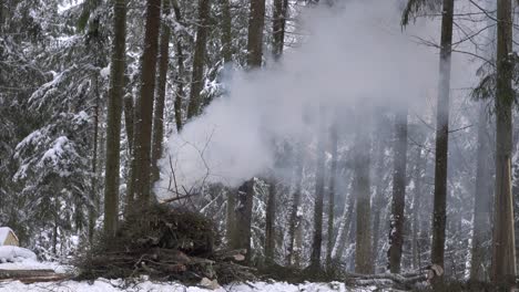 穿著深藍色工作服的男人在雪地森林中散步,在另一邊燃燒的樹枝上放著篝火