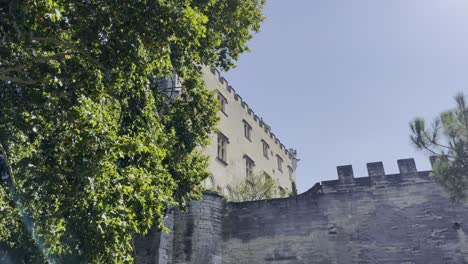 city wall with historical building in france with a tree in the foreground in good weather