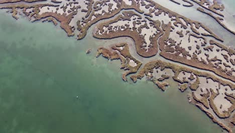 aerial shot of delta axiou river national park, natura 2000