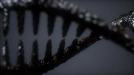 DNA-Molekül-Auf-Dem-Grauen-Hintergrund