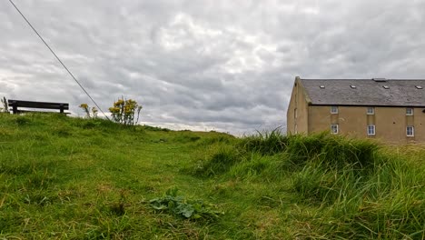 grass, flowers, and a building under cloudy skies