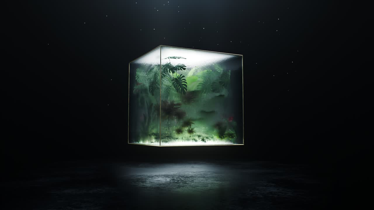 Loop an enchanting aquatic ecosystem displayed beautifully within a glas cubic container