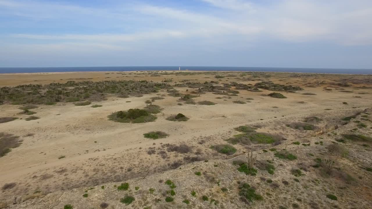 Desert landscape with ocean and lighthouse