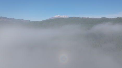 두꺼운 안개는 가운 눈으로 인 세인트 헬렌스 산을 멀리서 가려놓고 활기찬 초록색 상록 숲으로 가득 차 있습니다.