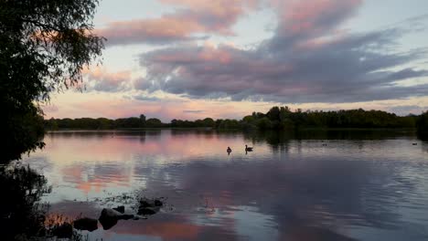 fotografía estática de patos flotando en un lago al atardecer