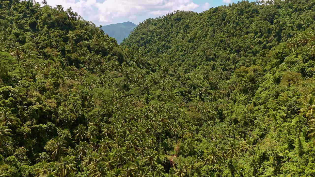 un denso valle de selva que conduce a un alto pico de montaña en la distancia