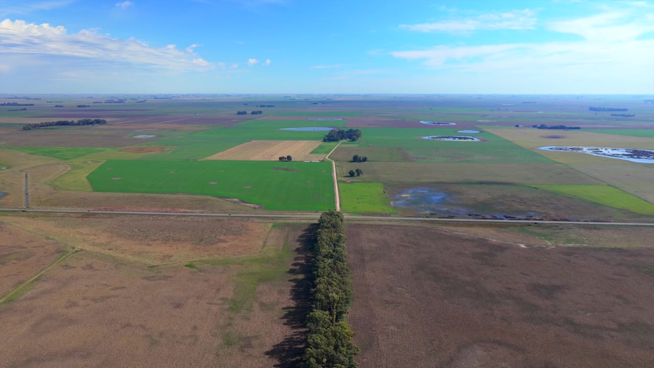 Aerial view of green and brown agricultural fields in Argentina divided by a long tree line beneath a blue sky and distant flat horizon
