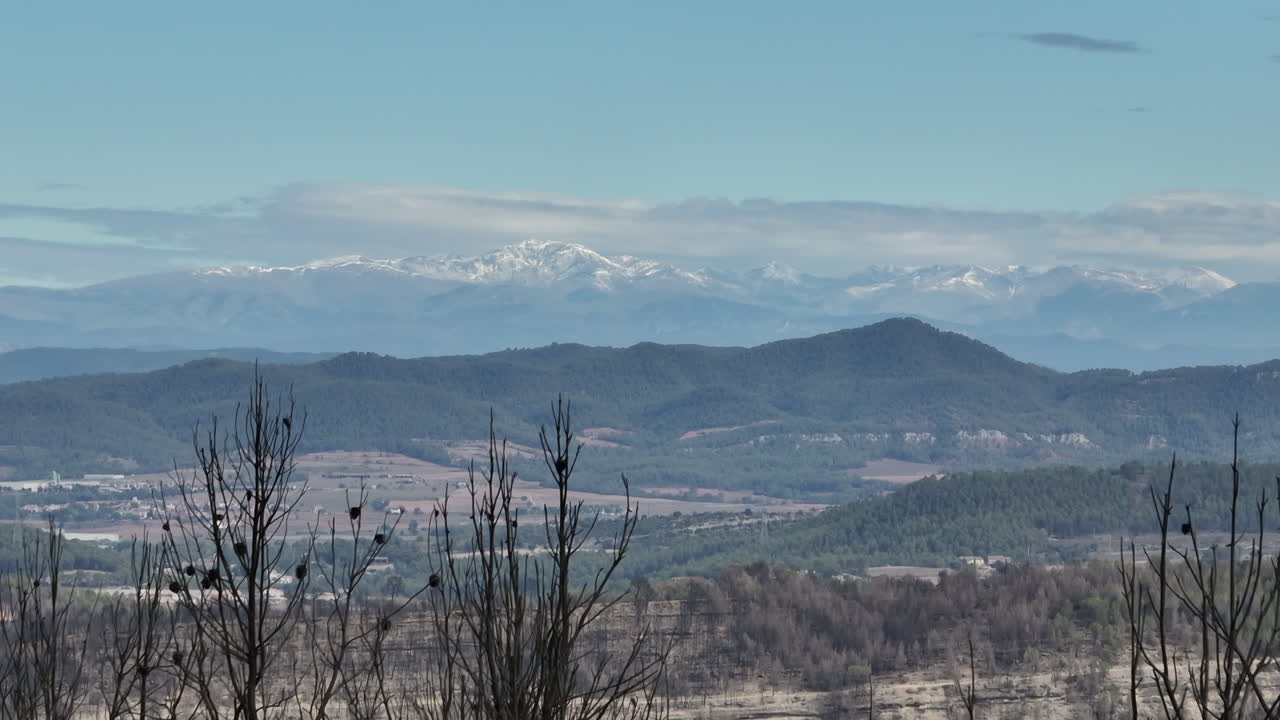 스페인 엘 퐁 데 빌로마라에서 산불이 난 후 불에 탄 나무와 환경, 배경의 산 전망 - 공중 하강