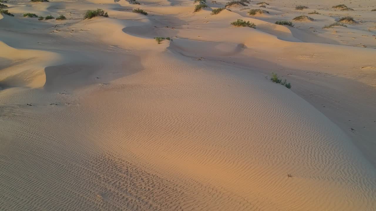 establecer y revelar una vista aérea de drones del desierto y las dunas de arena en las arenas de wahiba en el sultanato de omán