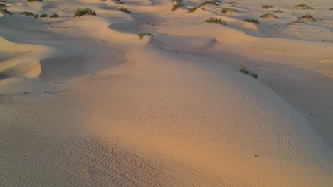 Erstellen-Und-Aufdecken-Einer-Luftdrohnenansicht-Der-Wüste-Und-Der-Sanddünen-Im-Wahiba-Sand-Im-Sultanat-Oman