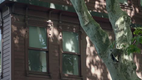 vintage house exterior with tree