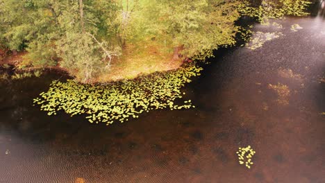 Gulbene-city-pond-and-park