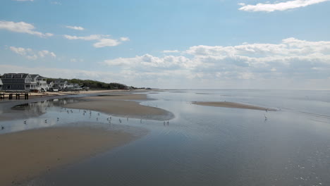 paso aéreo sobre curvas cristalinas de agua en la costa de nueva jersey con pequeños pájaros y casas