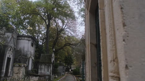 Seitliche-Verfolgung-In-Einem-Bewaldeten-Teil-Des-Friedhofs-Pere-Lachaise