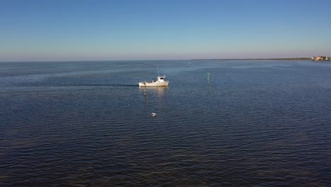 barco esponja cerca de hudson, florida